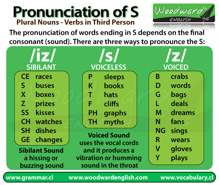 Pronunciation of the final S in English