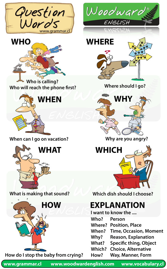 Question Words in English