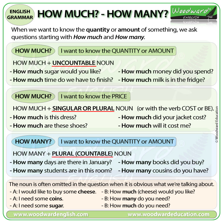 How Much vs. How Many - English Grammar by Woodward English