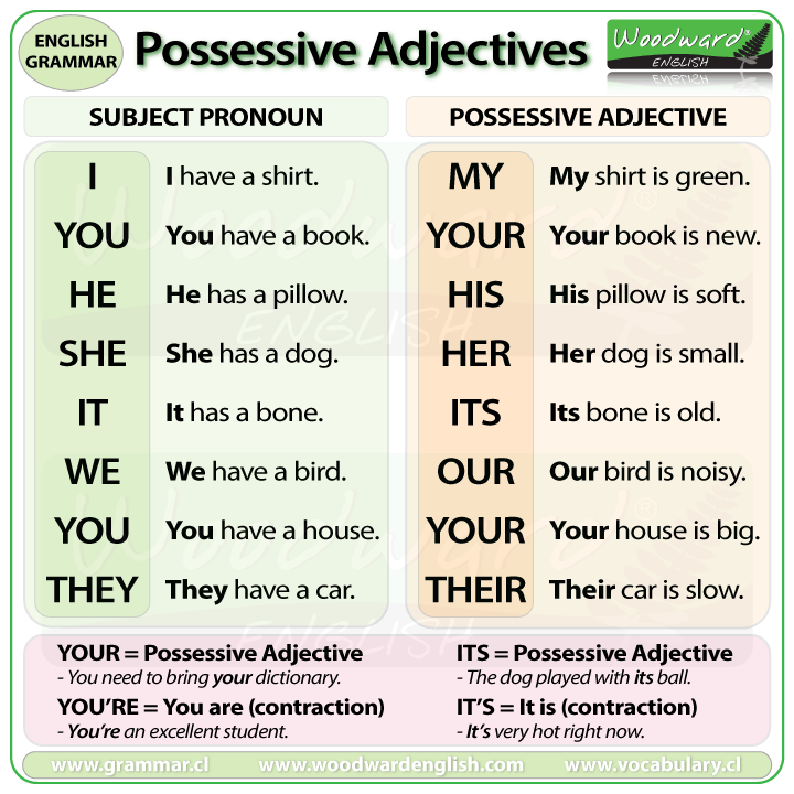 Possessive Pronouns In French Chart