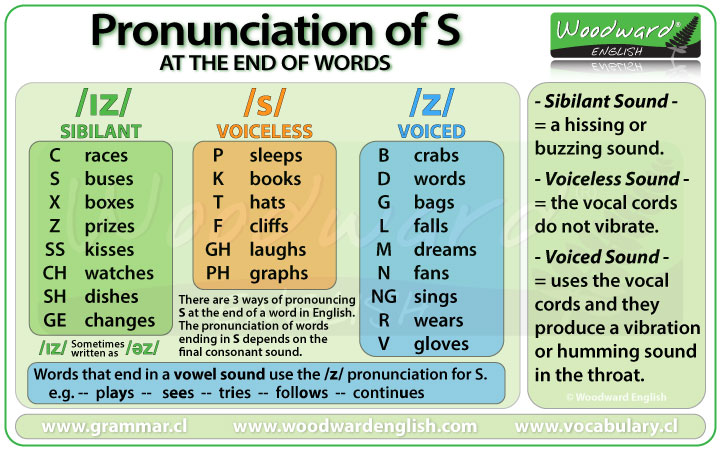 Pronunciation of the final S in English