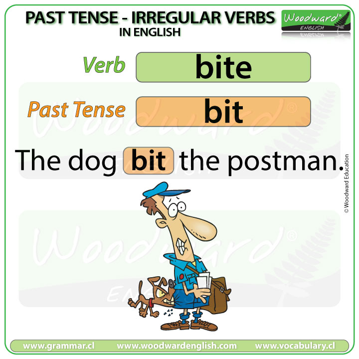 What's The Past Tense of Bite? Bit or Bitten?